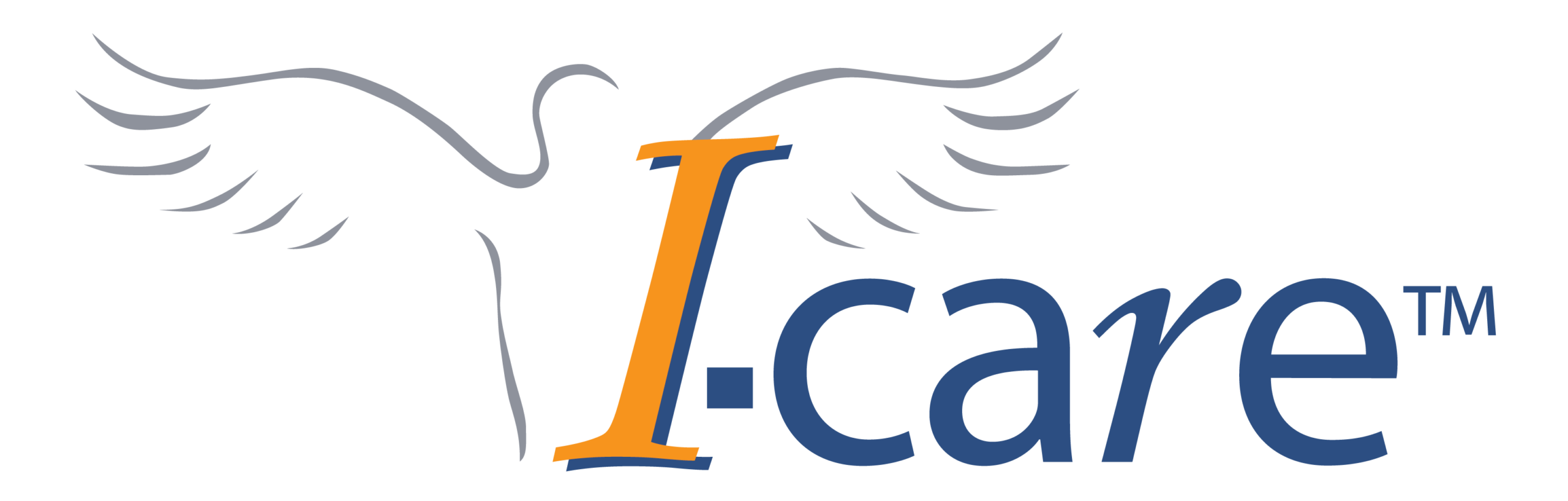 I-care Webshop